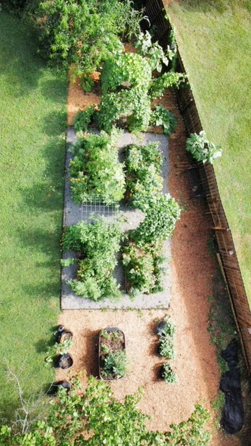 Aerial view of a backyard kitchen garden with raised beds, vegetables, herbs, and flowers in full bloom"