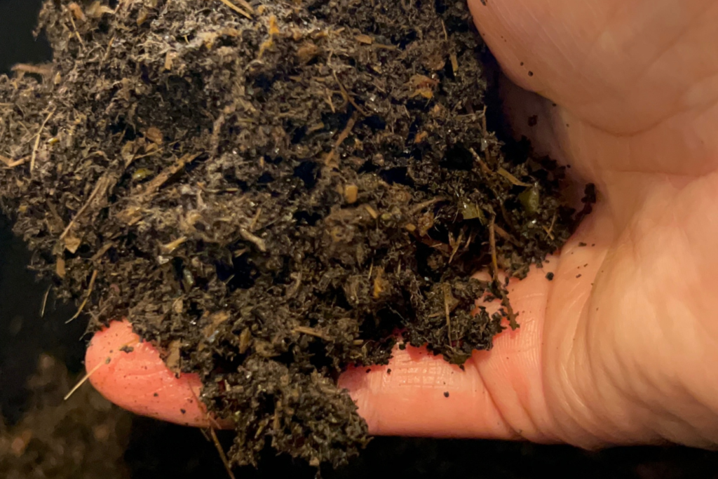 Alt text: Woman’s hand holding rich garden soil, ready to plant seeds in her home garden.