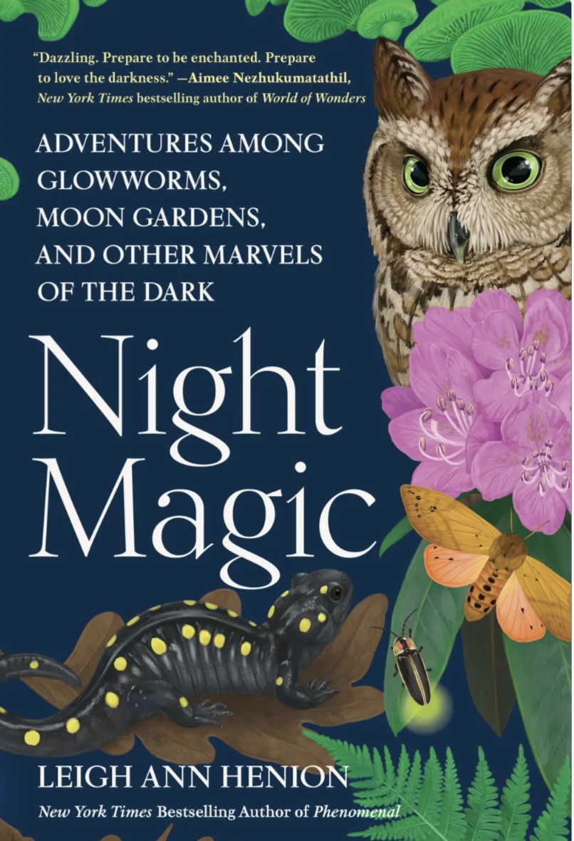 Cover of the book Night Magic by Leigh Ann a celebration of what goes on outside in nature during the dark.