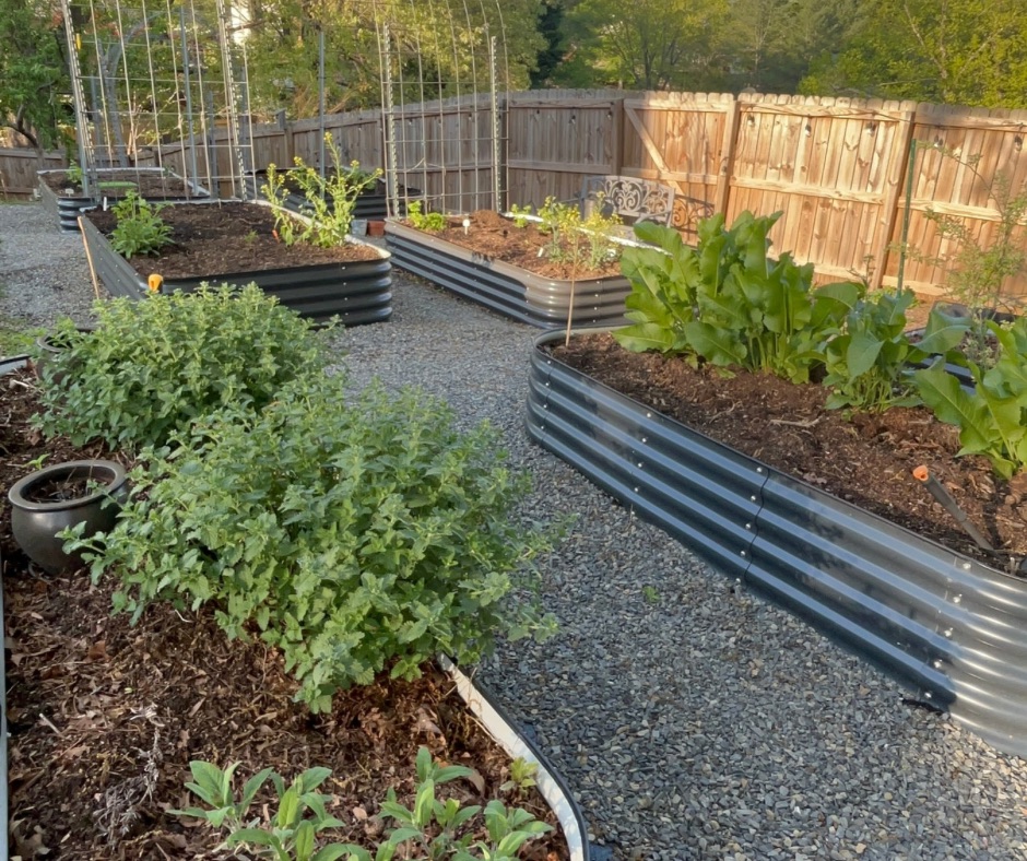 Raised Epic Gardening Birdies metal modular Beds filled with thriving vegetables and herbs in a sunny home kitchen garden.