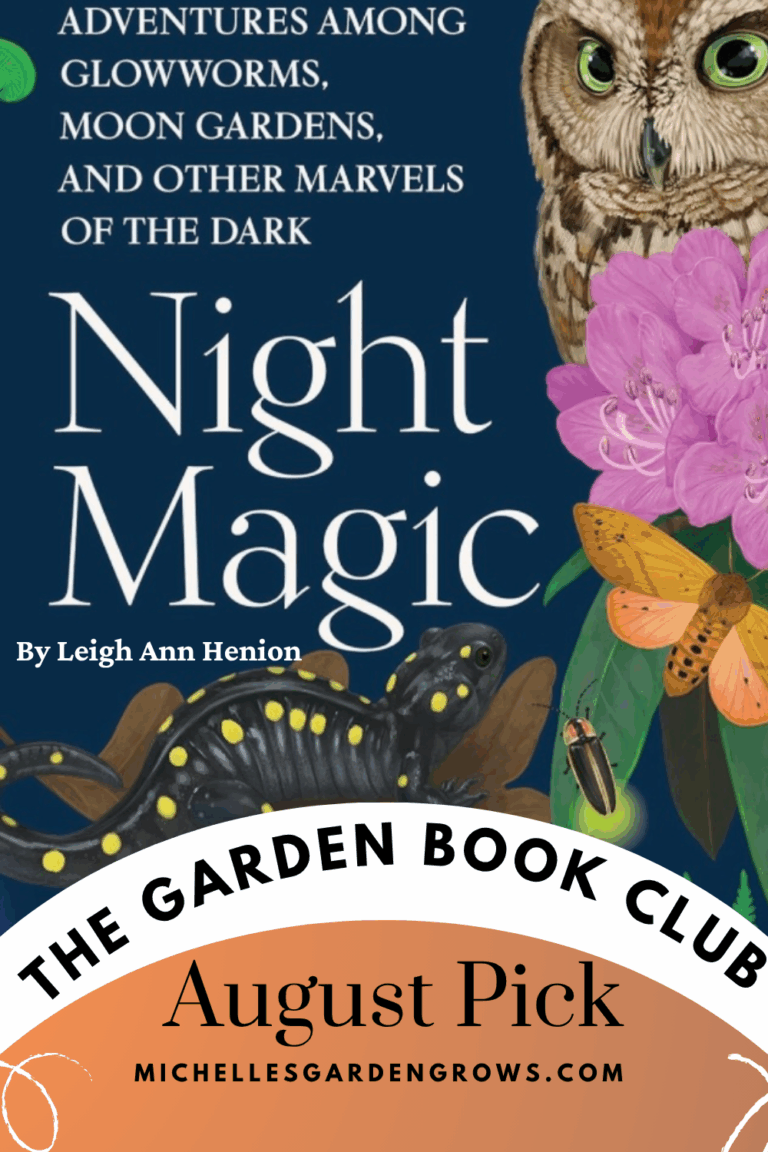 Book Cover of Night Magic by Leigh Ann Henion