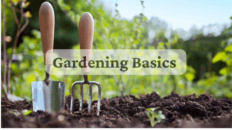 6 Simple Ways to Live a More Sustainable Life