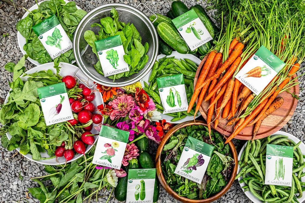 A photo of vegetables from garden and seed packs