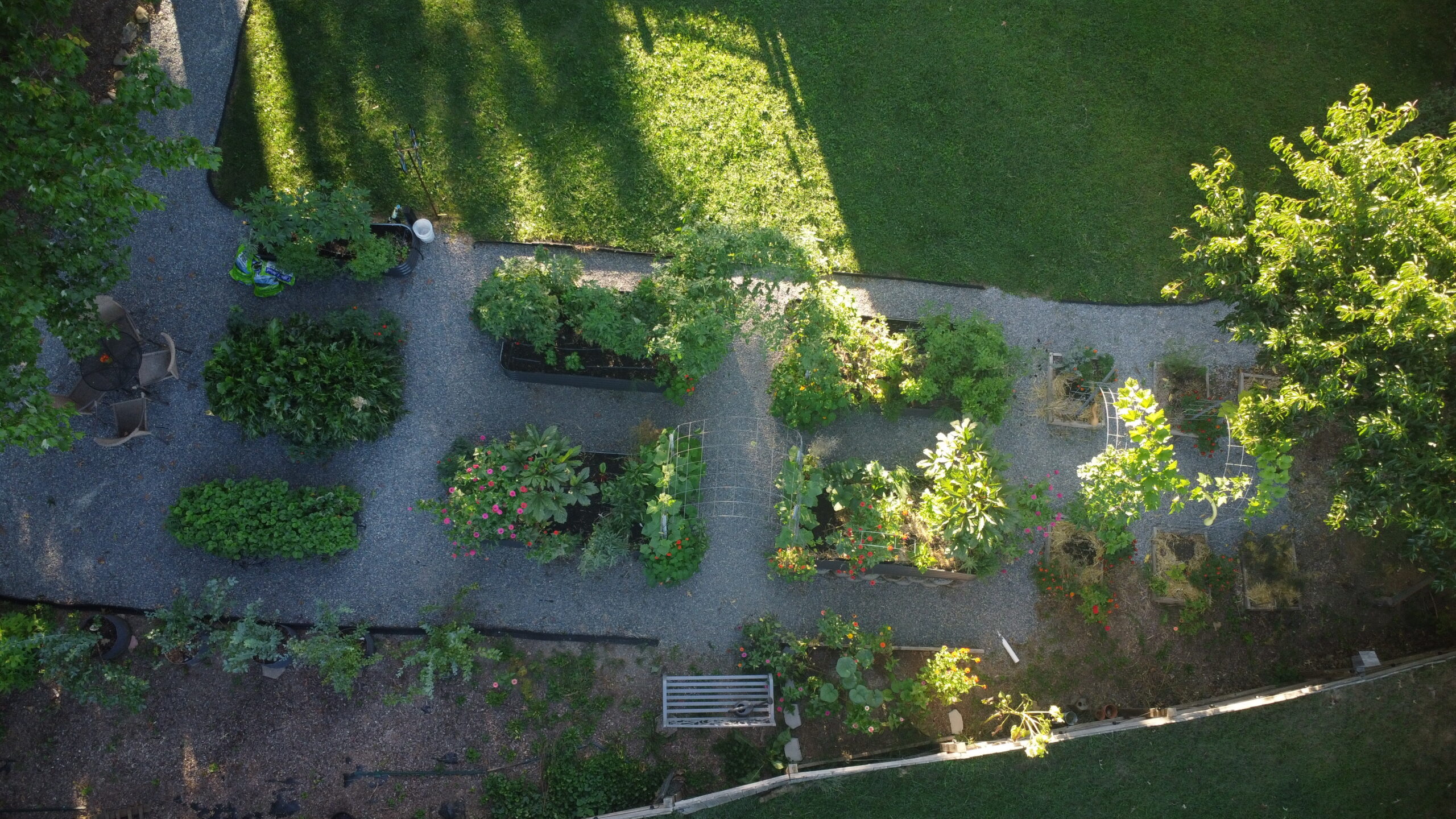 Ariel view of a backyard garden with raised beds