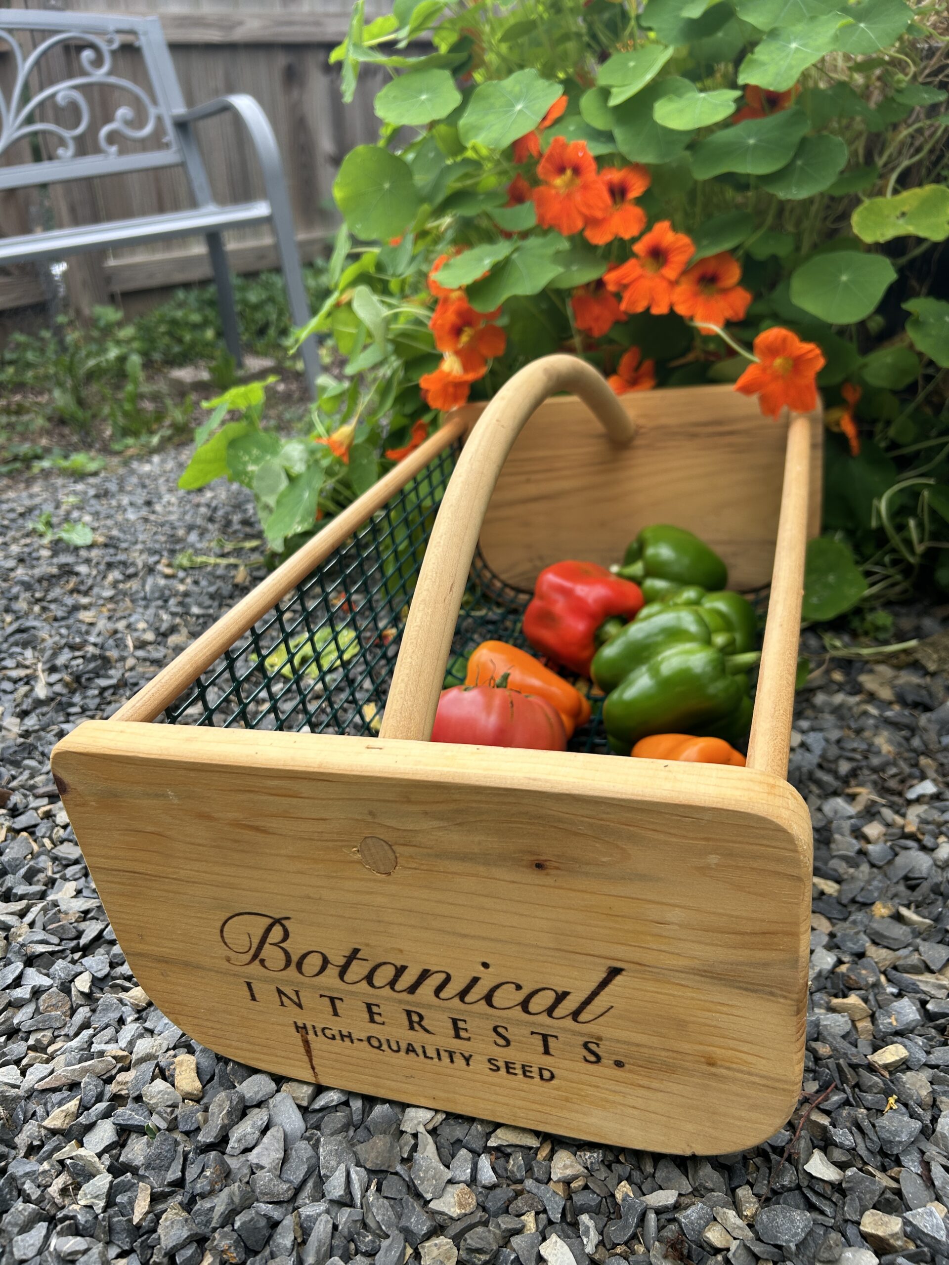 Botanical Interests Harvest Basket with veggies in side