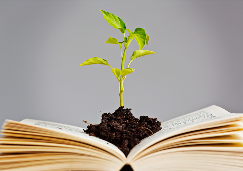 Opened book with soil and a plant growing out of the middle