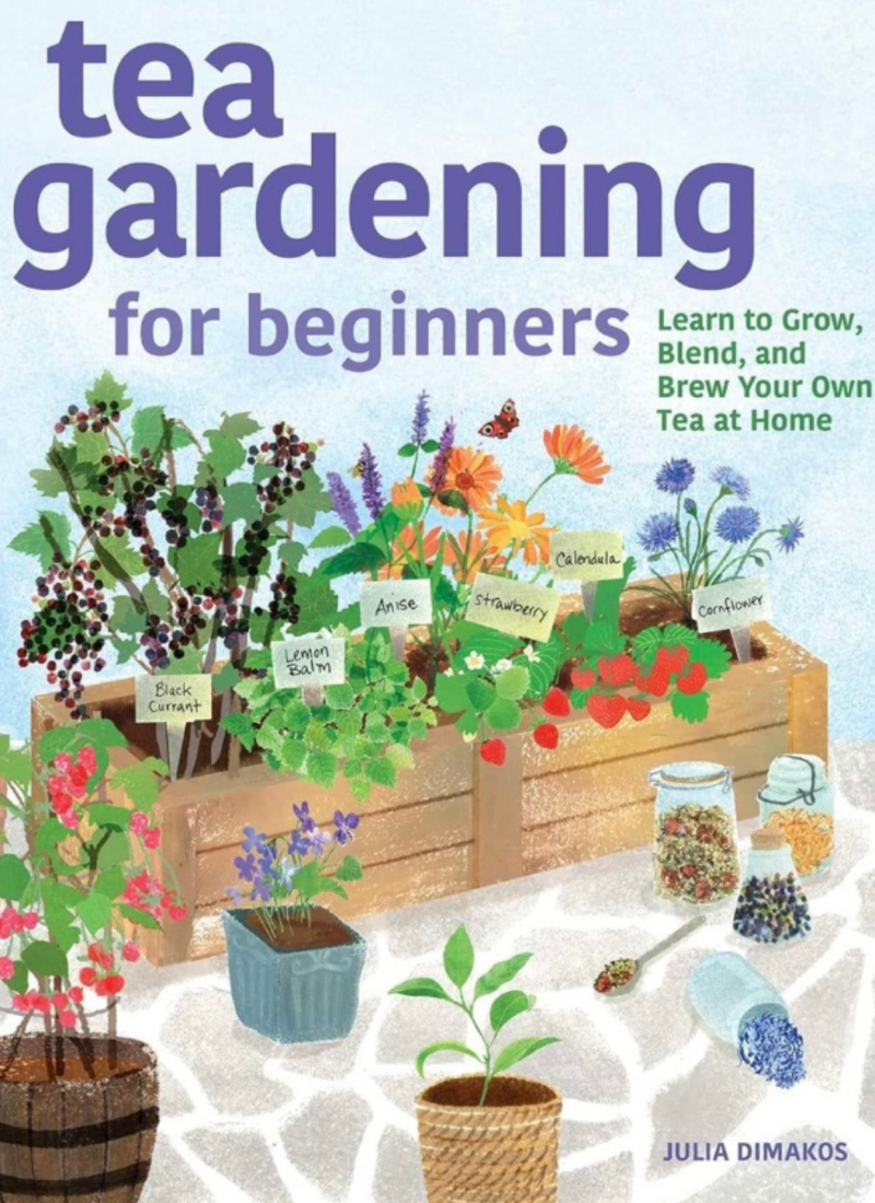 Blog Post photo of Tea Gardening for beginners