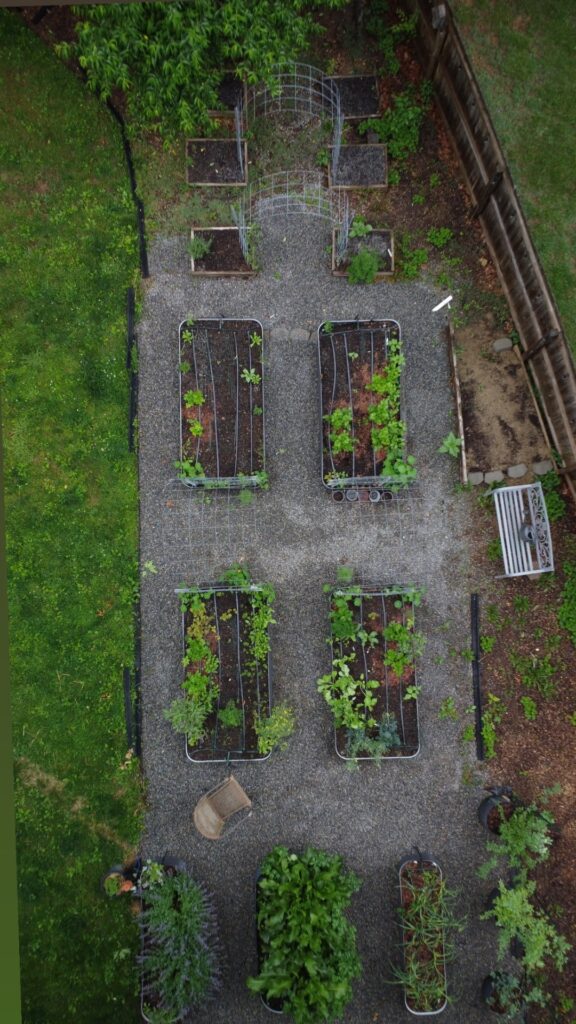 Aerial view of a home garden featuring modular metal Birdies Beds by Epic Gardening, showing neatly arranged raised beds with thriving plants.