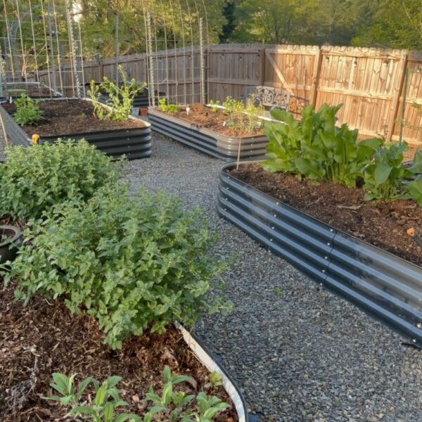 Raised Epic Gardening Birdies metal modular Beds filled with thriving vegetables and herbs in a sunny home kitchen garden.