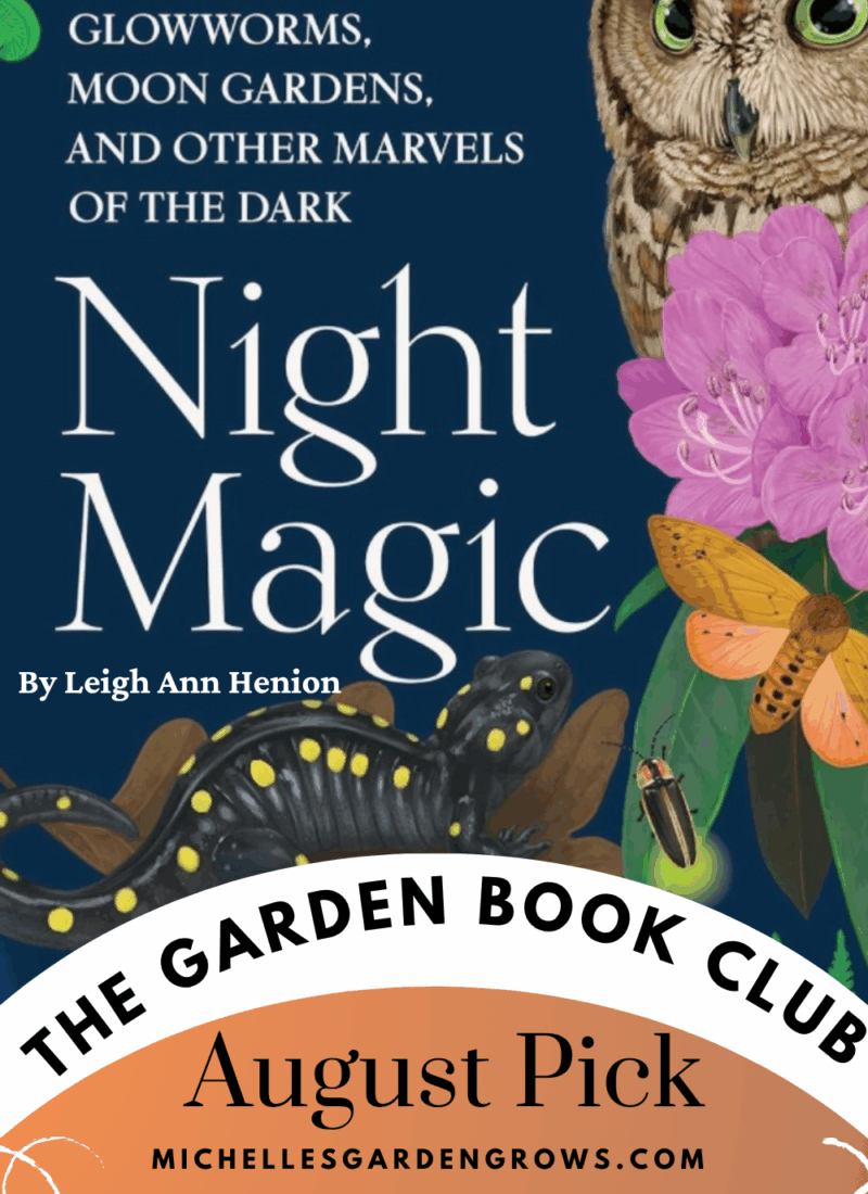 August Garden Book Club Pick: Night Magic by Leigh Ann Henion.