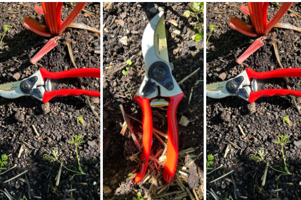 Red garden Shears