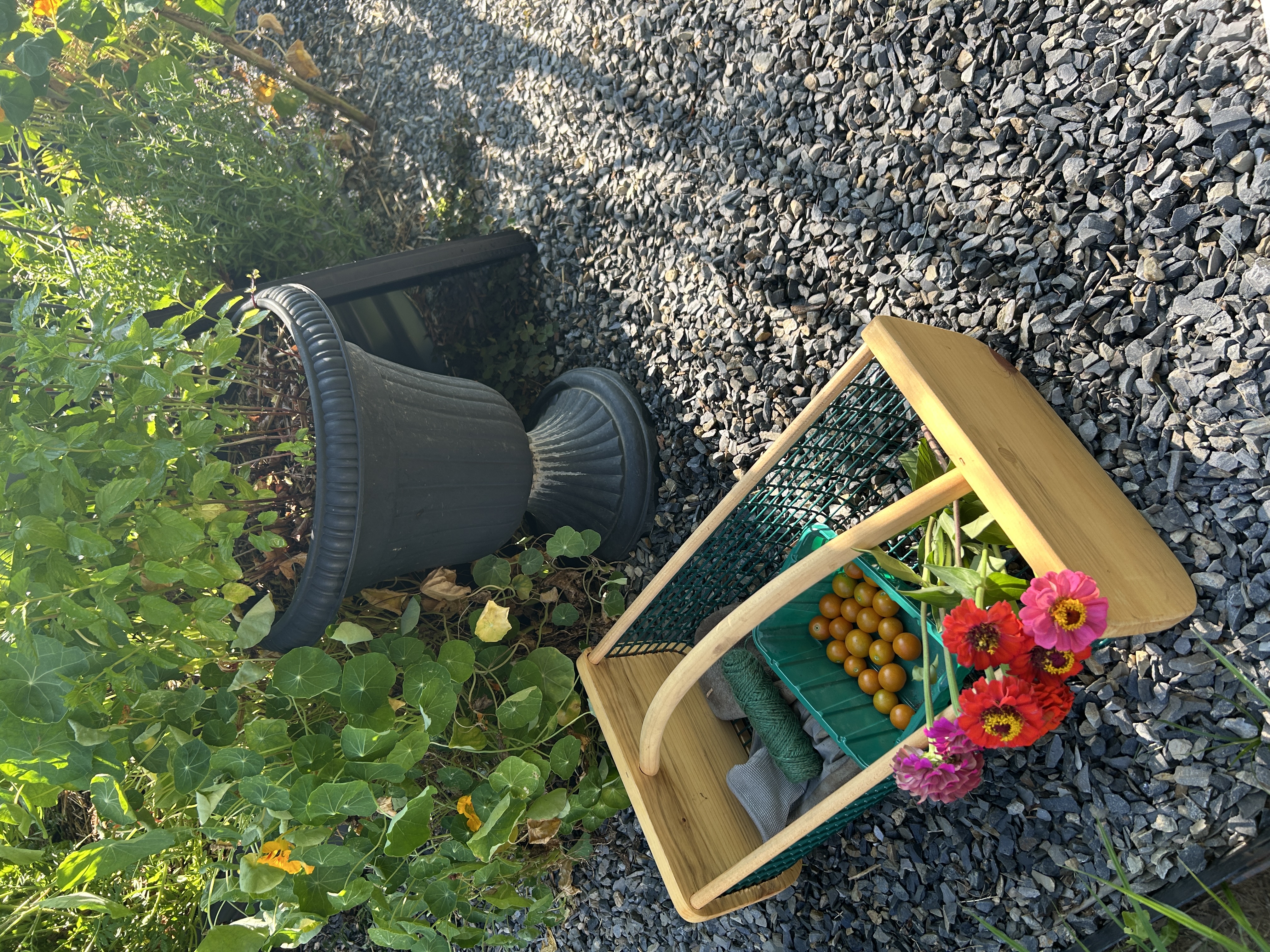 Harvest Basket with flowers and tomatoes inside