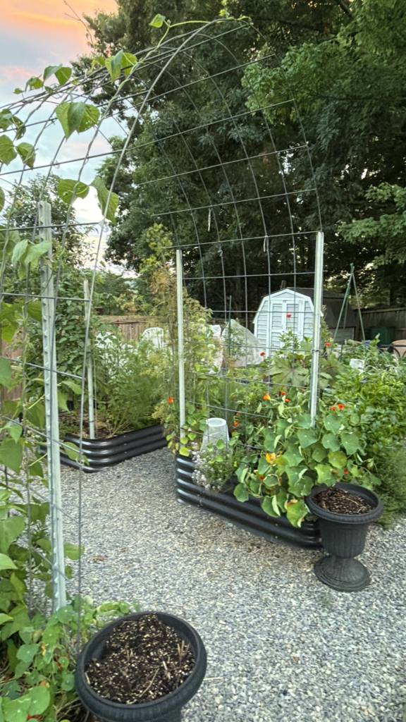 Garden space with a trellis and shed