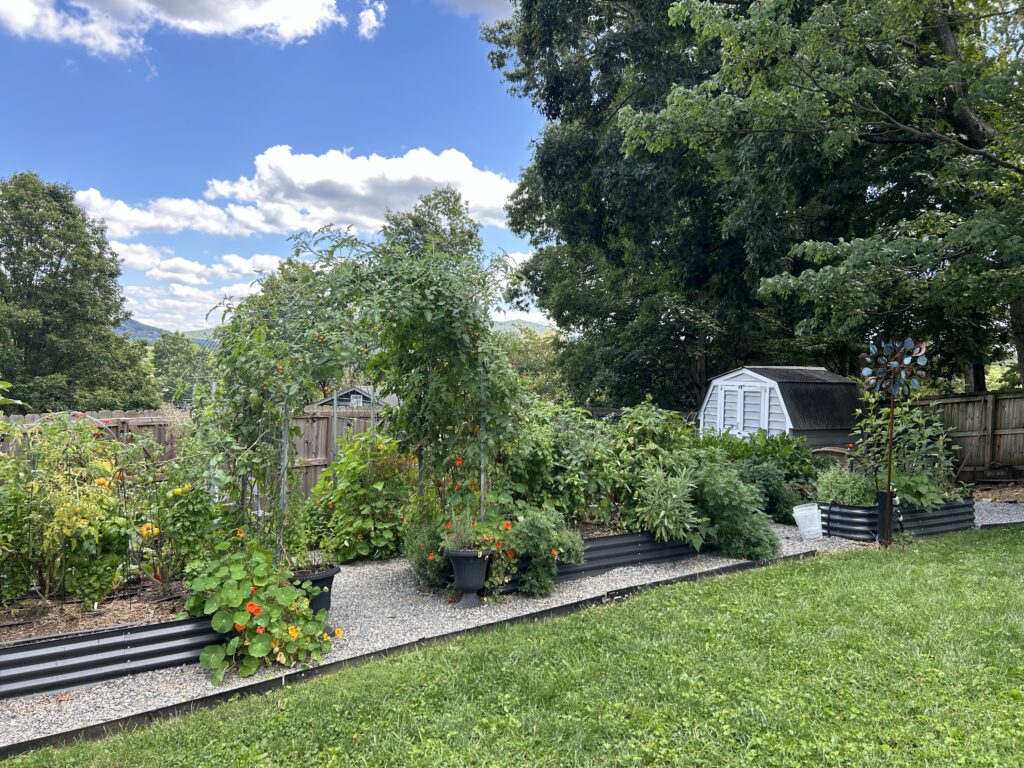 Epic Gardening Raised beds in Michelle's Garden Grows Garden space