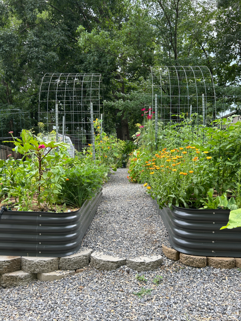 Raised Garden Beds in a home garden